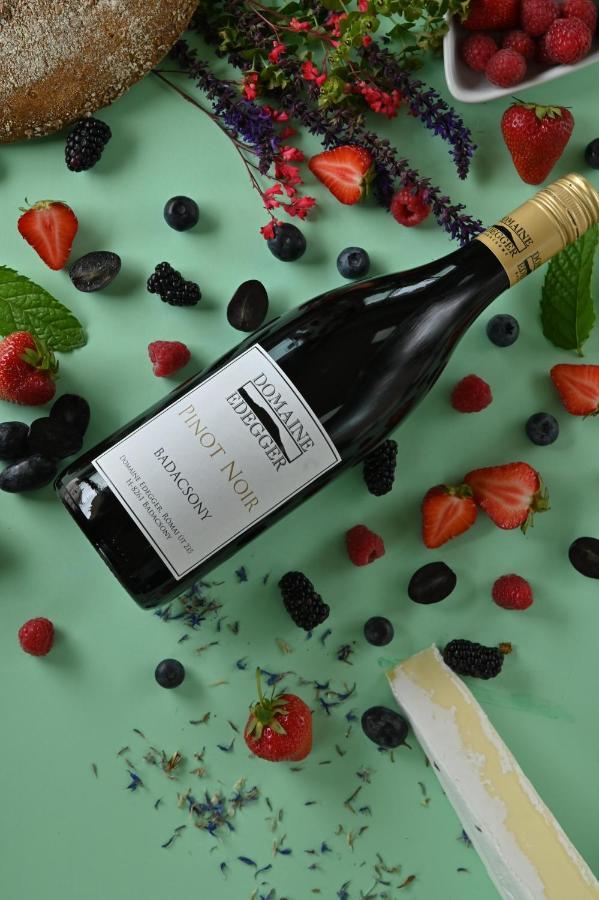 Domaine Edegger - Organic Winery Badacsony Aparthotel Badacsonytomaj Bagian luar foto