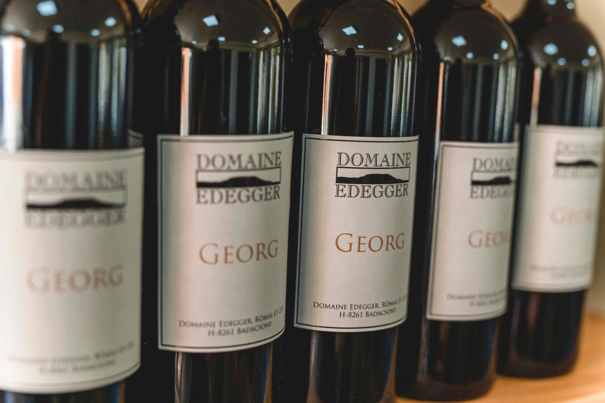 Domaine Edegger - Organic Winery Badacsony Aparthotel Badacsonytomaj Bagian luar foto
