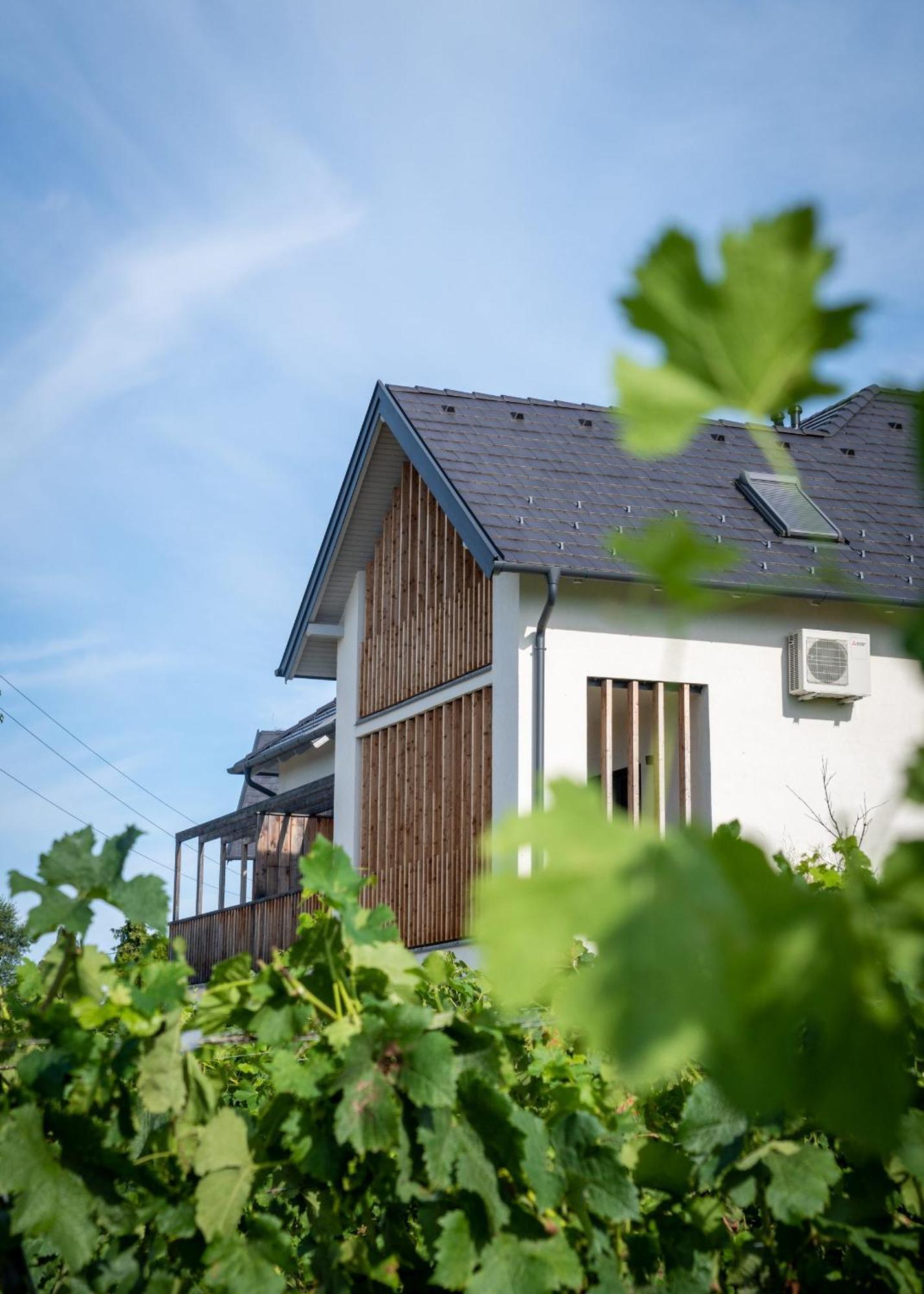 Domaine Edegger - Organic Winery Badacsony Aparthotel Badacsonytomaj Bagian luar foto